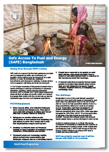 2017 - SAFE Access to Fuel and Energy - Bangladesh