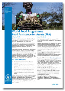 2019 - Food Assistance for Assets 