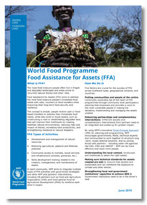2019 - Food Assistance for Assets