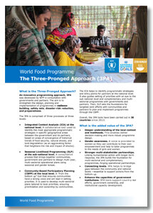 2017 - The Three-pronged Approach (3PA) factsheet