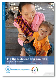 2017 - Fill the Nutrient Gap Lao PDR