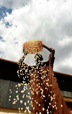 Zero Loss for Zero Hunger: WFP's Work to Prevent Post-Harvest Food Losses
