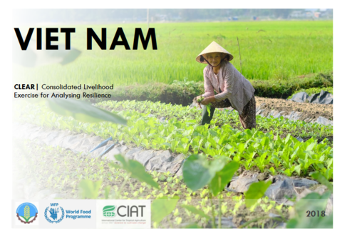 Viet Nam: Consolidated Livelihood Exercise for Analysing Resilience