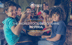 2016 - Syria Year in Review