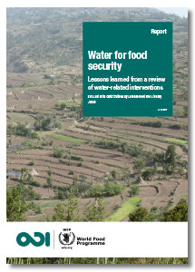 2017 - Water for food security - Lessons learned from a review of water-related interventions
