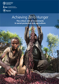 2015 - Achieving Zero Hunger: The critical role of investments in social protection and agriculture