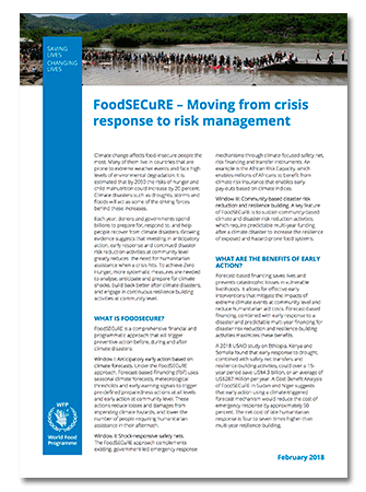 2018 - FoodSECuRE factsheet