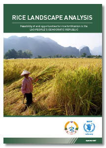Rice Landscape Analysis - Feasibility of and opportunities for rice fortification in the Lao People's Democratic Republic