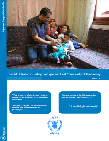 Türkiye - Social Cohesion: Refugee and Host Community Online Survey