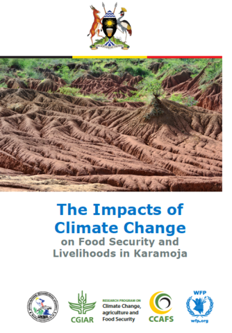Uganda - The Impacts of Climate Change on Food Security and Livelihoods in Karamoja, 2017