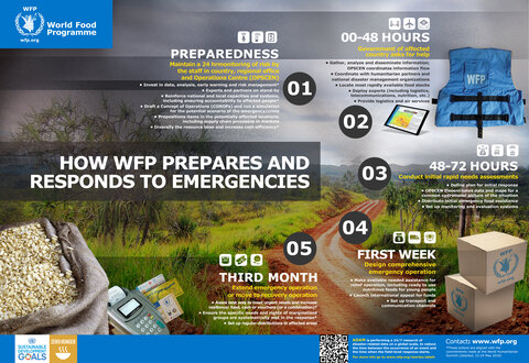 2017 - Emergency Preparedness Infographic