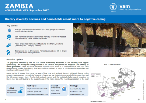 Zambia - mVAM Monitoring
