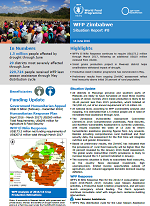 Situation Report - Zimbabwe