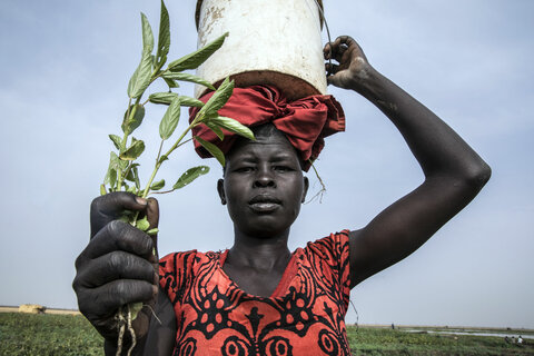 Why South Sudan must give peace a chance