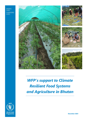 https://docs.wfp.org/api/documents/WFP-0000122621/download/
