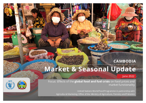 https://docs.wfp.org/api/documents/WFP-0000141449/download/