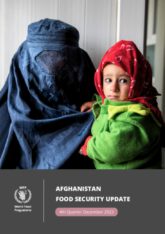 Afghanistan mVAM Household Food Security Survey | World Food Programme