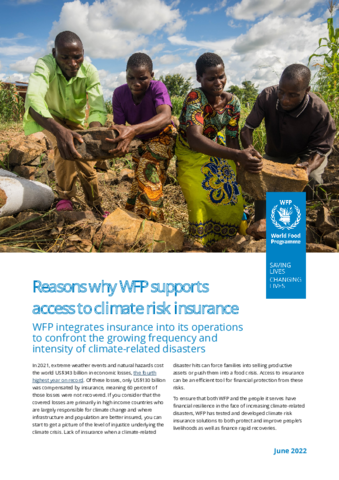 https://docs.wfp.org/api/documents/WFP-0000140608/download/