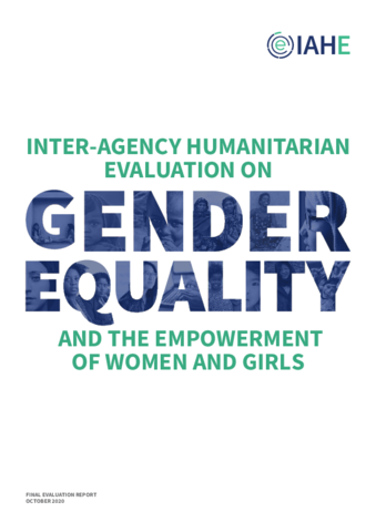 https://interagencystandingcommittee.org/system/files/2020-11/The%20Inter-Agency%20Humanitarian%20Evaluation%20%28IAHE%29%20on%20Gender%20Equality%20and%20the%20Empowerment%20of%20Women%20and%20Girls%20%28GEEWG%29-Report.pdf