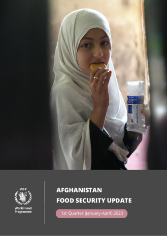 Afghanistan mVAM Household Food Security Survey | World Food Programme