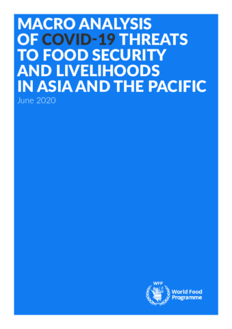 https://docs.wfp.org/api/documents/WFP-0000118195/download/