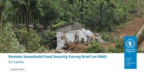 https://docs.wfp.org/api/documents/WFP-0000172571/download/