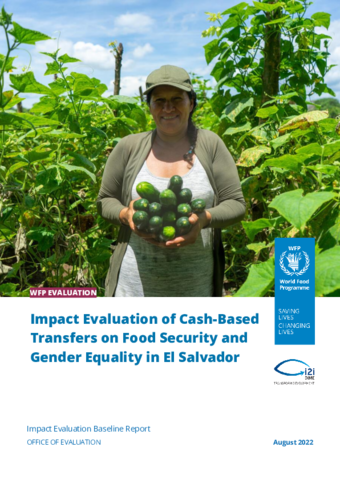 https://docs.wfp.org/api/documents/WFP-0000142178/download/