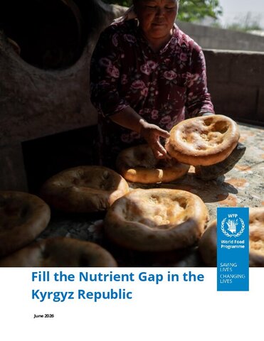 https://docs.wfp.org/api/documents/WFP-0000174987/download/