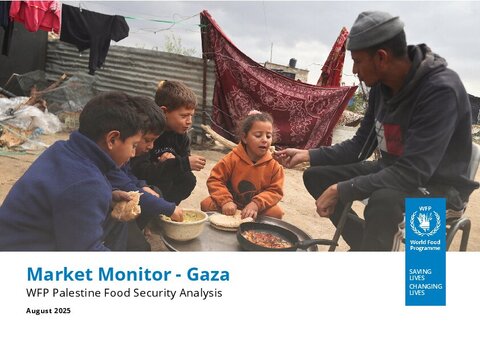 https://docs.wfp.org/api/documents/WFP-0000168628/download/