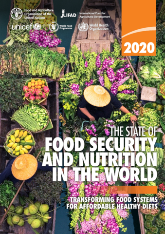 https://docs.wfp.org/api/documents/WFP-0000117811/download/