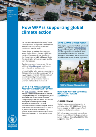 https://docs.wfp.org/api/documents/WFP-0000103348/download/