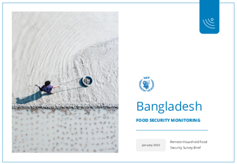 https://docs.wfp.org/api/documents/WFP-0000146707/download/