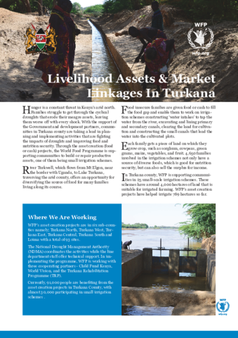 https://cdn.wfp.org/wfp.org/publications/Livelihoods-Assets-Turkana.pdf