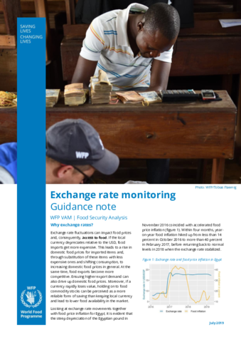 Guidance Note - Exchange Rate Monitoring, July 2019
