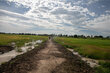 In the distance, figures walk on a road dyke through a waterlogged field, leading to a vanishing point