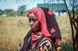 A women in a red-patterned headscarf stands in front of a field of green and yellow hay in central Kenya's Isiolo County. Photo: WFP/Patrick Mwangi
