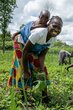 Farmers collecting peanuts at Nambia crop farm in Bazungua payam, Yambio, where WFP supports 23 households with resilience activities. © WFP/Eulalia Berlanga