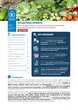 https://docs.wfp.org/api/documents/WFP-0000173383/download/