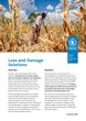 https://docs.wfp.org/api/documents/WFP-0000162416/download/