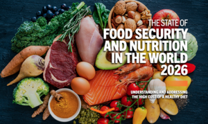 Cover image for The State of Food Security and Nutrition in the World 2026, showing fish, meat, eggs, nuts, fruits and vegetables.