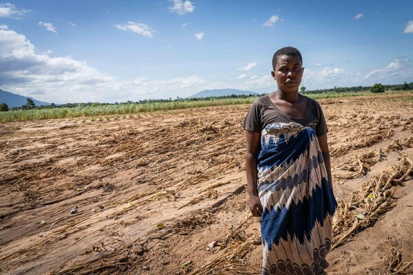 mozambique field after cyclone