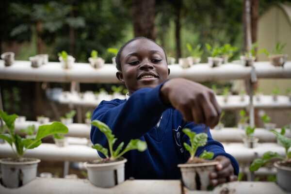 Photo: WFP/Lisa Murray. Student tend to spinach at the Olympic secondary School in Kibera, Nairobi.