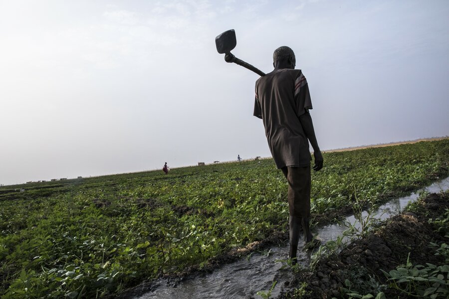A smallholder farmer irrigating his vegetable garden 