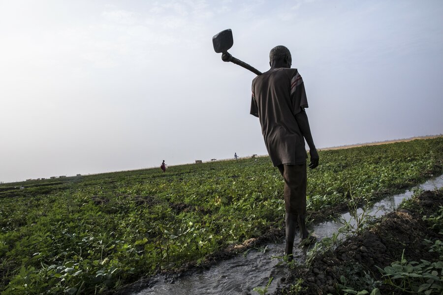 A smallholder farmer irrigating his vegetable garden