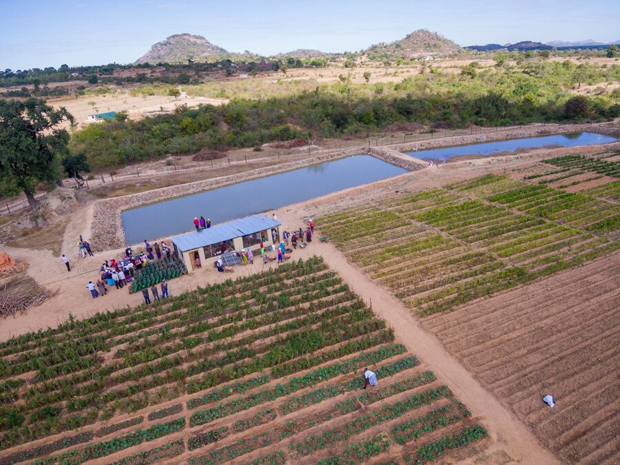 How Drought Is Killing Zimbabwe World Food Programme How Drought Is Killing Zimbabwe World Food Programme