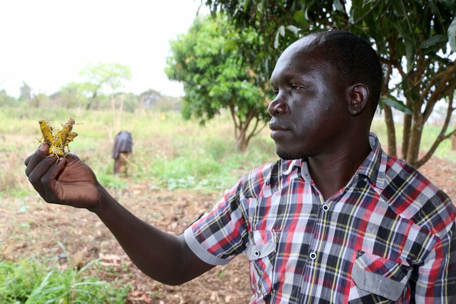 Joseph Okuera, Chairman of Magwi Farmers group. Photo: WFP/Peter Louis
