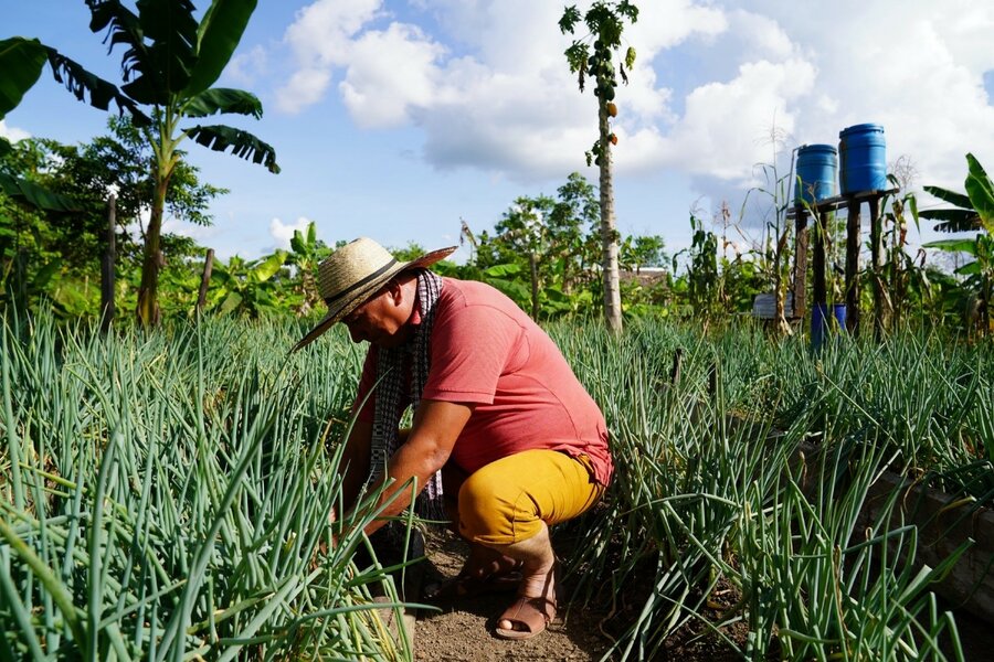 a man is working in the field