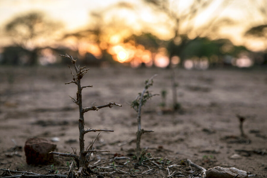 climate-change-risk-financing-zimbabwe