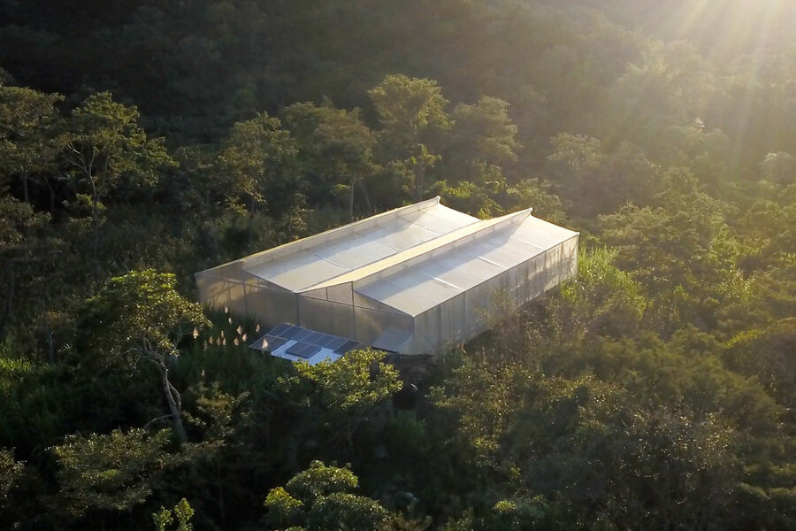 el-salvador-greenhouse