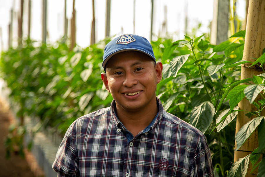 el-salvador-greenhouse